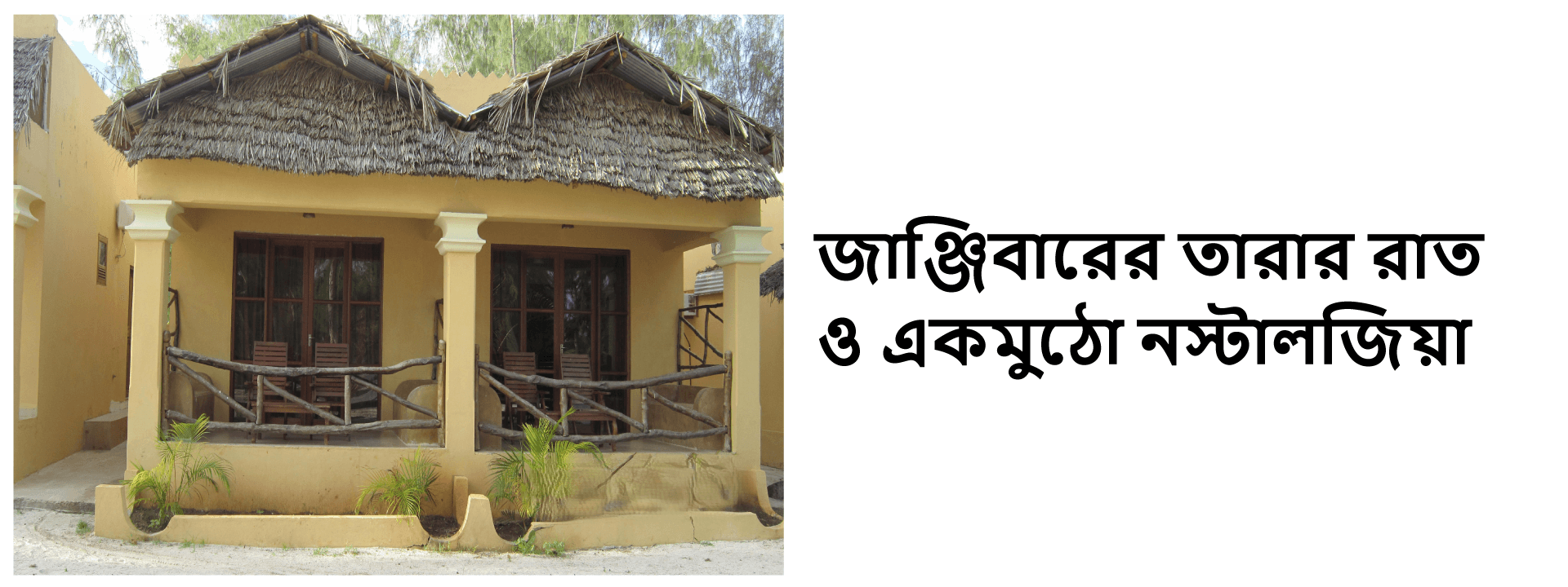 জাঞ্জিবারের তারার রাত ও একমুঠো নস্টালজিয়া