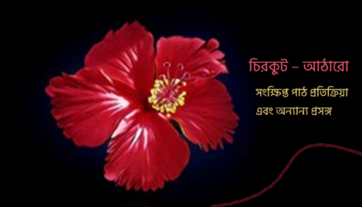 চিরকুট &ndash; আঠারো  সংক্ষিপ্ত পাঠ প্রতিক্রিয়া এবং অন্যান্য প্রসঙ্গ 